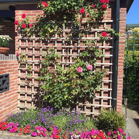 Dunes Side Accommodatie bij particulieren